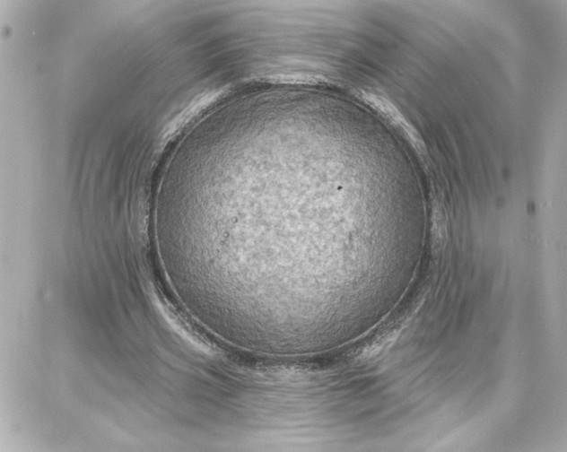 X0000087740533200705211015