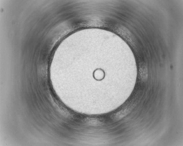 X0000087740534200705211015