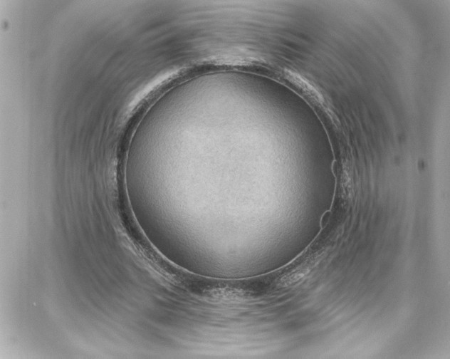 X0000087740535200705211015