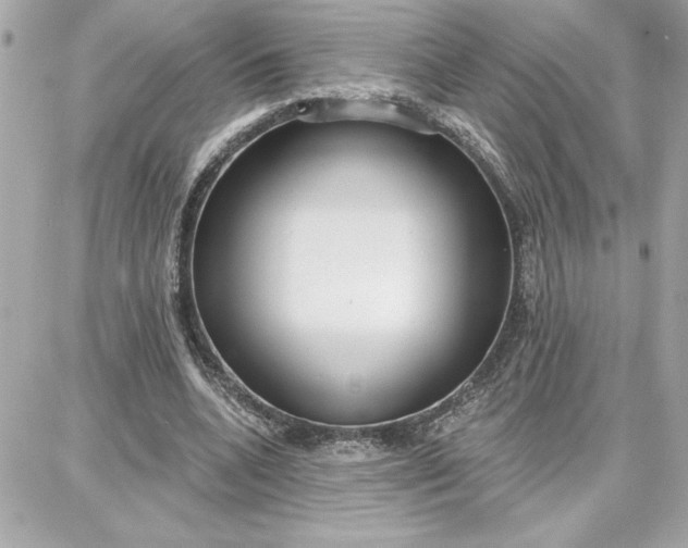 X0000087740536200705211015