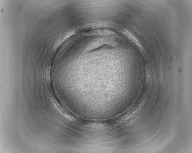 X0000087740537200705211015