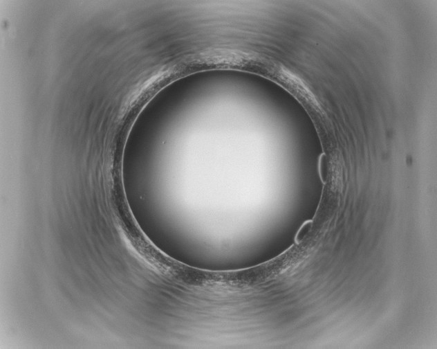 X0000087740538200705211015