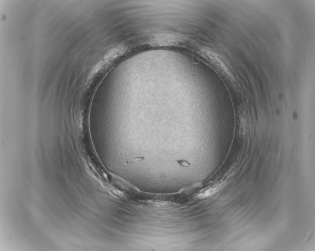 X0000087740539200705211015