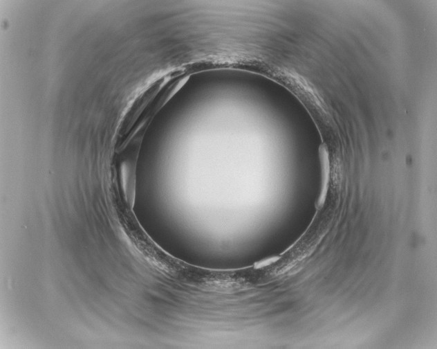 X0000087740540200705211015