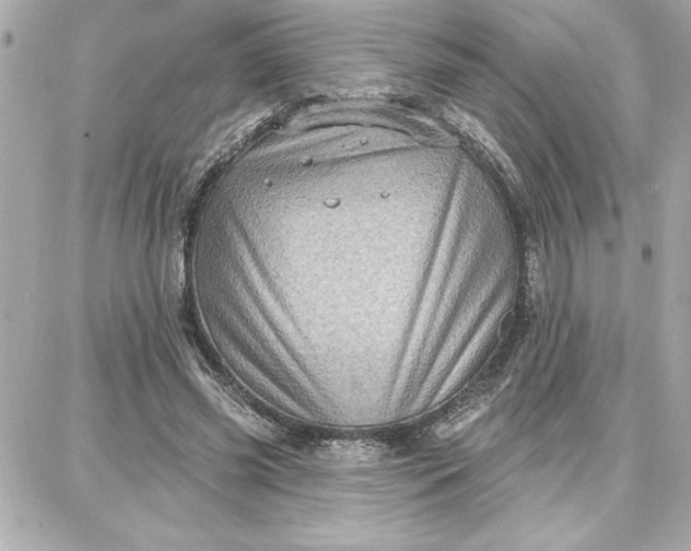 X0000087740541200705211015