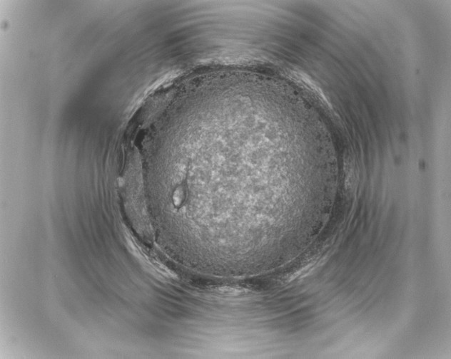 X0000087740542200705211015