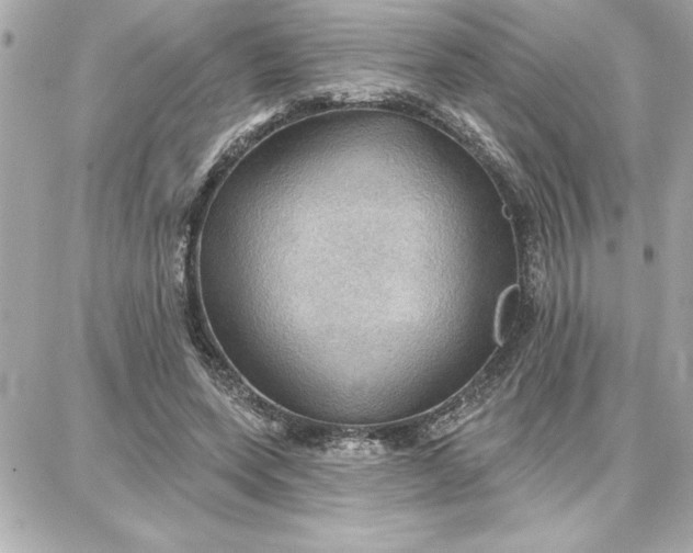 X0000087740543200705211015