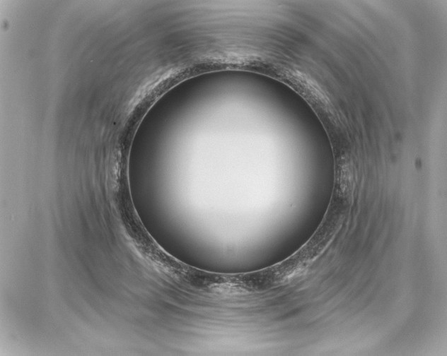 X0000087740544200705211015