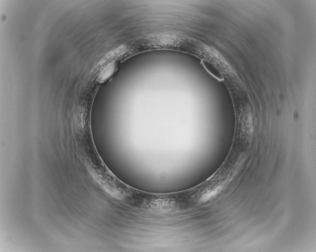 X0000087740546200705211015