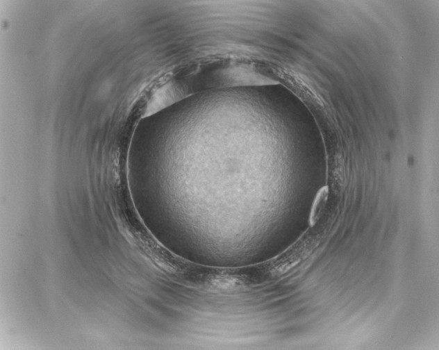 X0000087740547200705211015