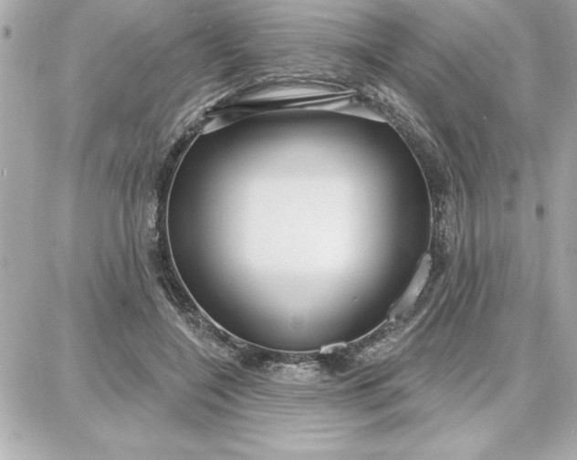 X0000087740548200705211015