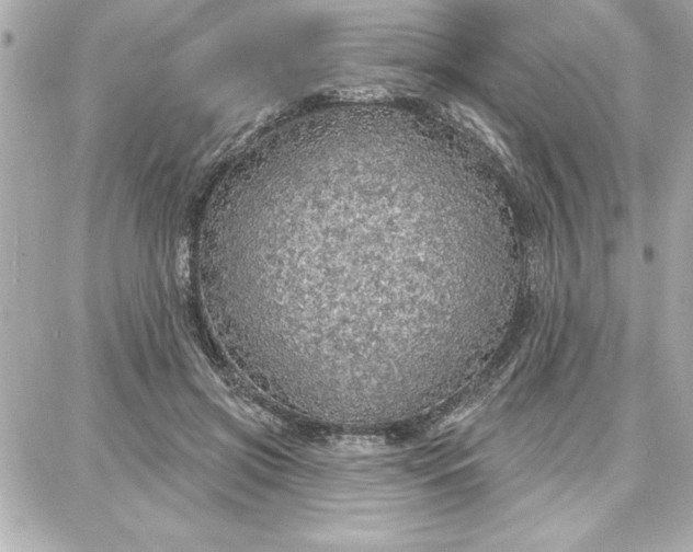 X0000087740549200705211015