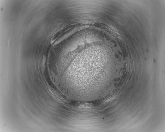 X0000087740550200705211015