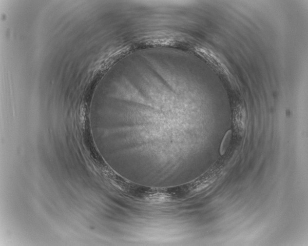 X0000087740551200705211015