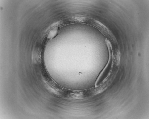 X0000087740552200705211015