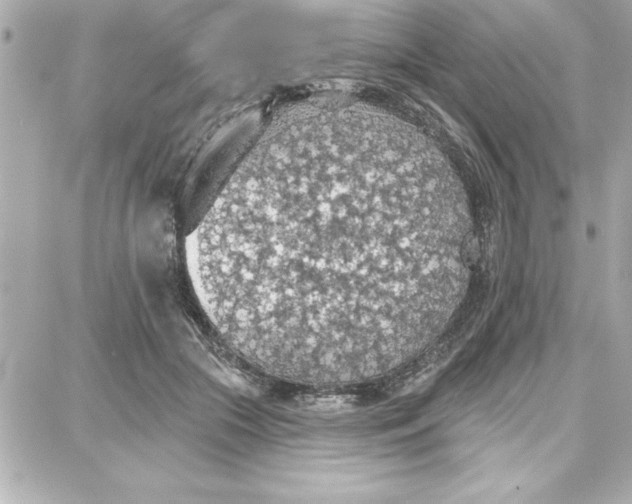 X0000087740553200705211015