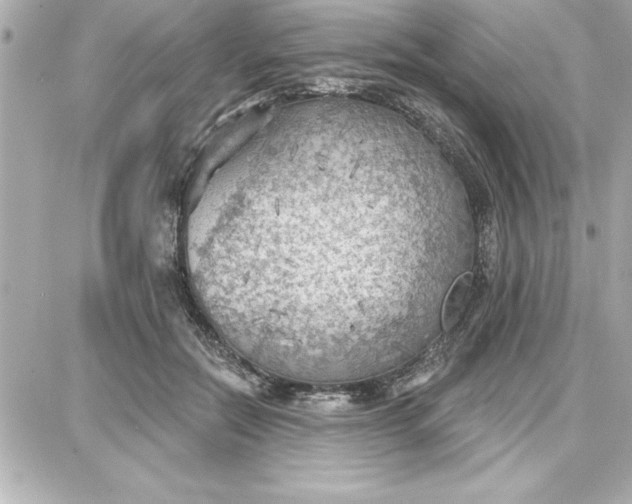 X0000087740554200705211015