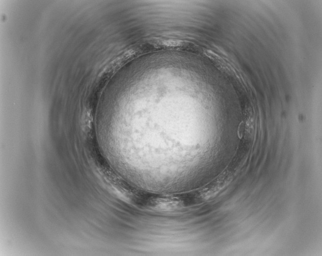 X0000087740555200705211015