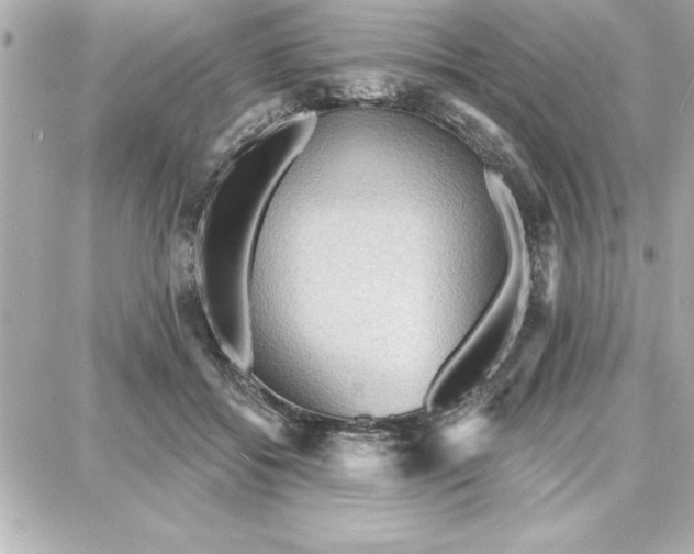 X0000087740556200705211015