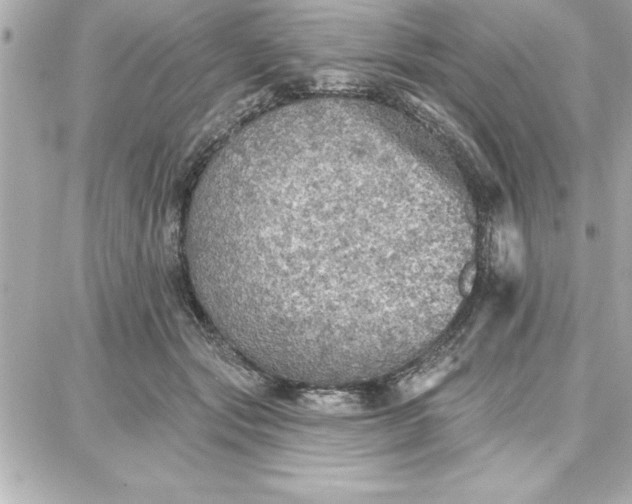 X0000087740557200705211015