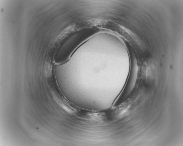 X0000087740558200705211015