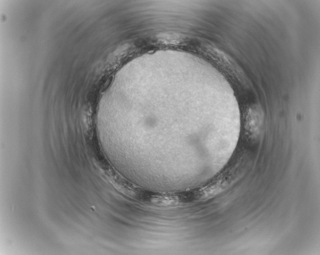 X0000087740559200705211015