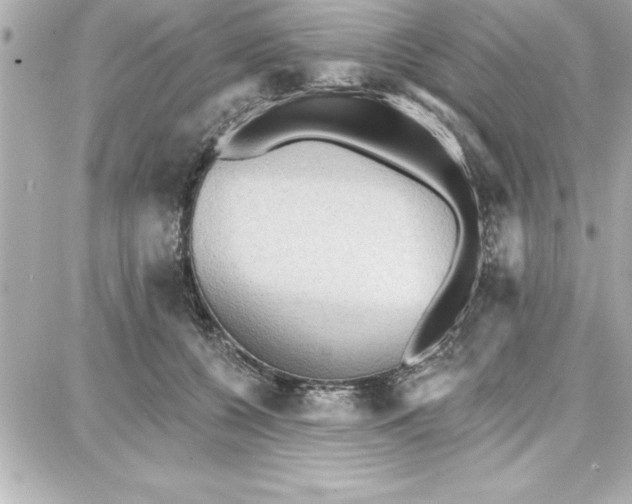 X0000087740560200705211015