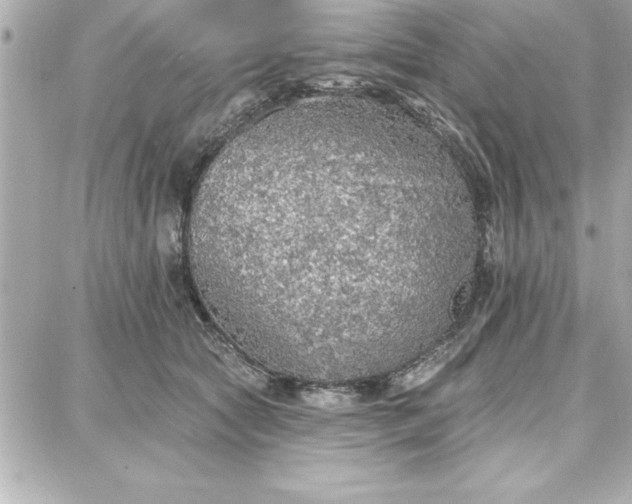 X0000087740561200705211015