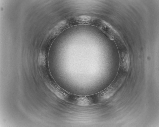 X0000087740562200705211015