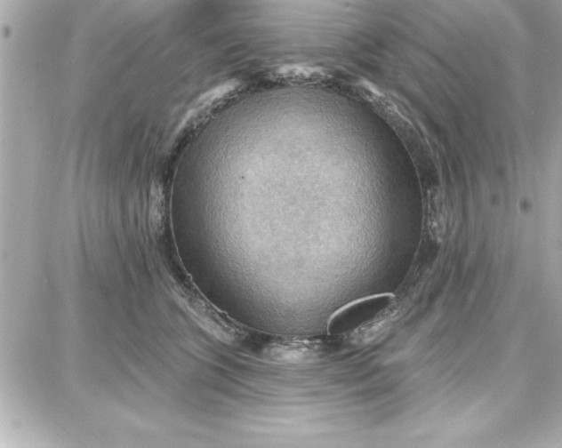 X0000087740563200705211015