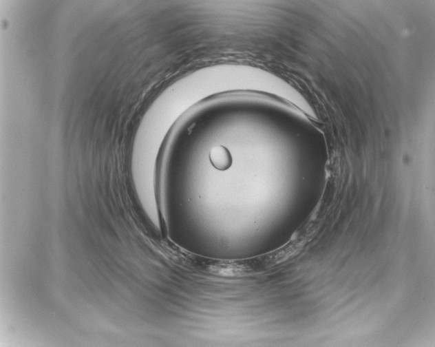 X0000087740564200705211015