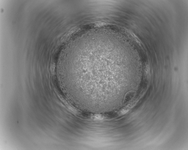 X0000087740565200705211015