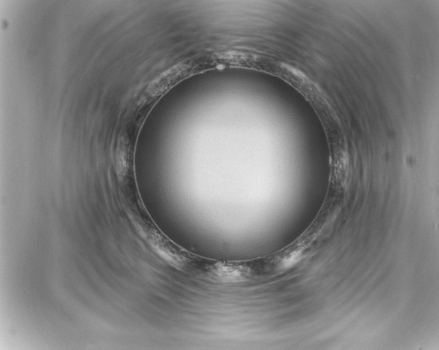 X0000087740566200705211015