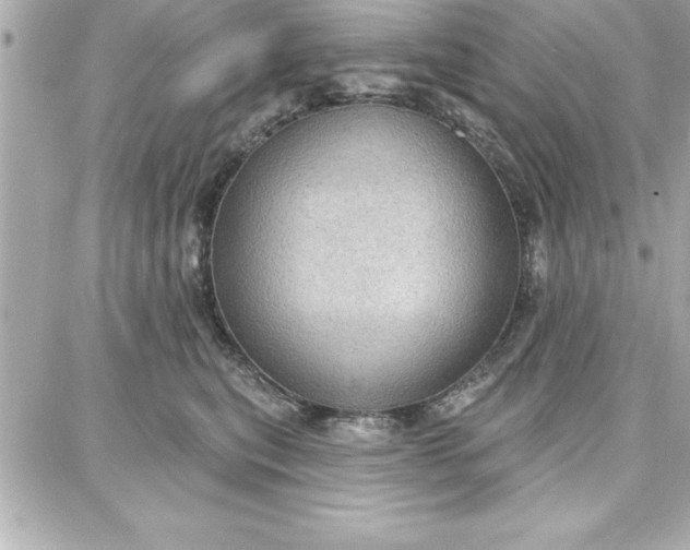 X0000087740567200705211015