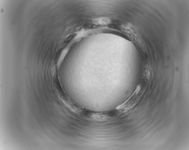 X0000087740568200705211015