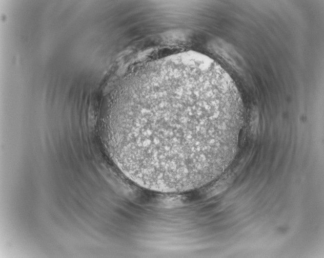 X0000087740569200705211015