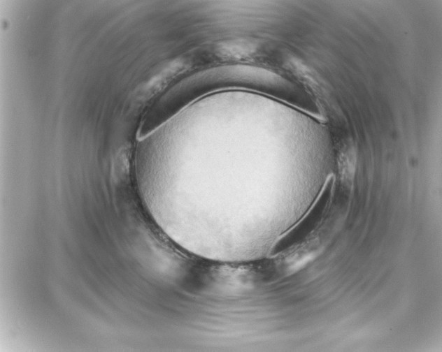 X0000087740570200705211015