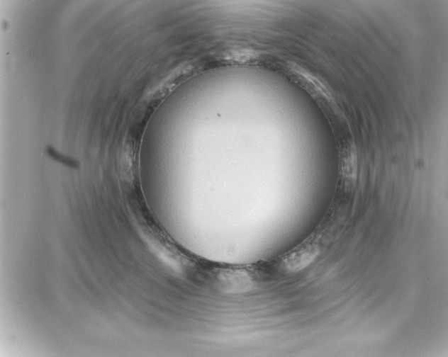 X0000087740572200705211015