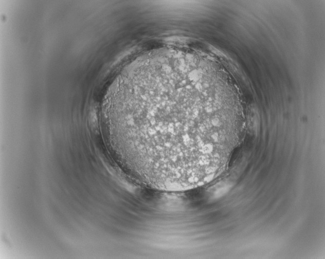 X0000087740573200705211015