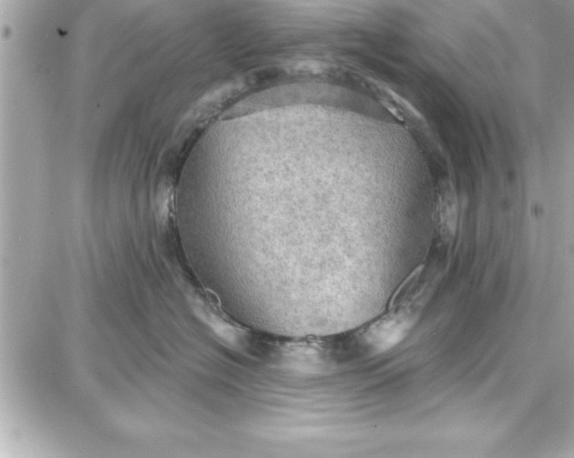 X0000087740574200705211015