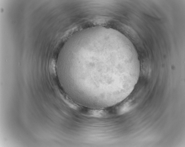 X0000087740575200705211015