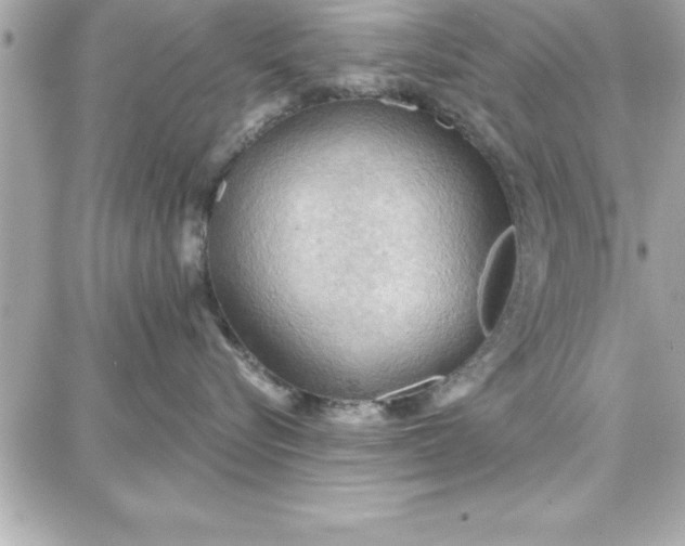 X0000087740576200705211015