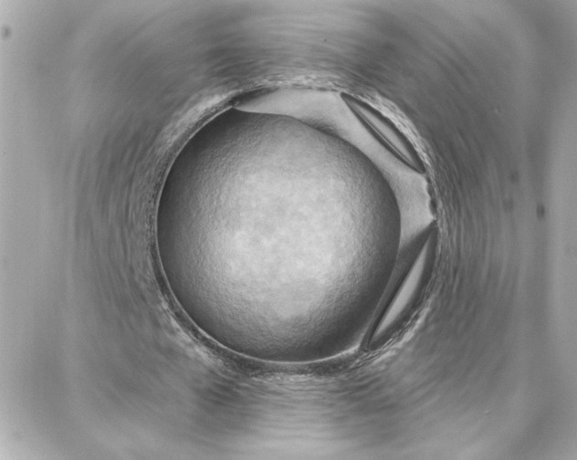 X0000087740577200705211014