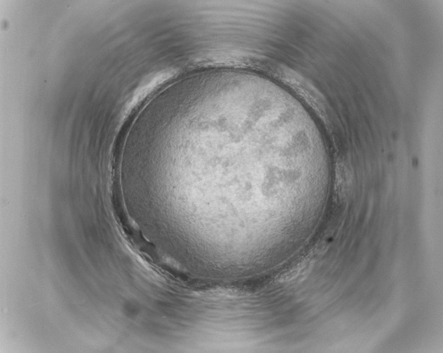 X0000087740578200705211014