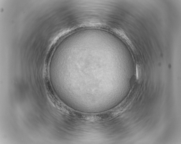 X0000087740579200705211014