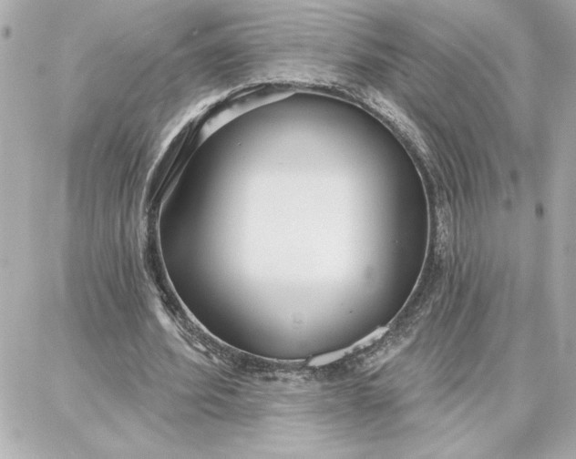 X0000087740580200705211014