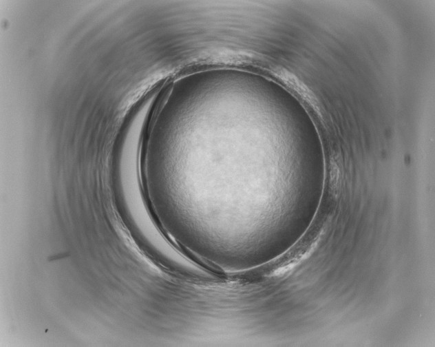 X0000087740581200705211014