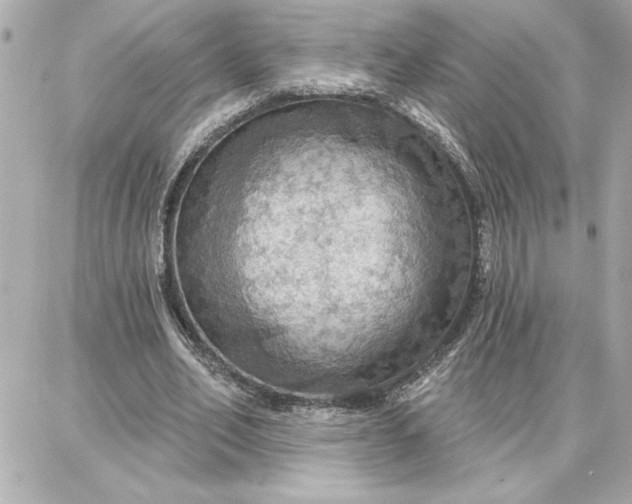 X0000087740582200705211014