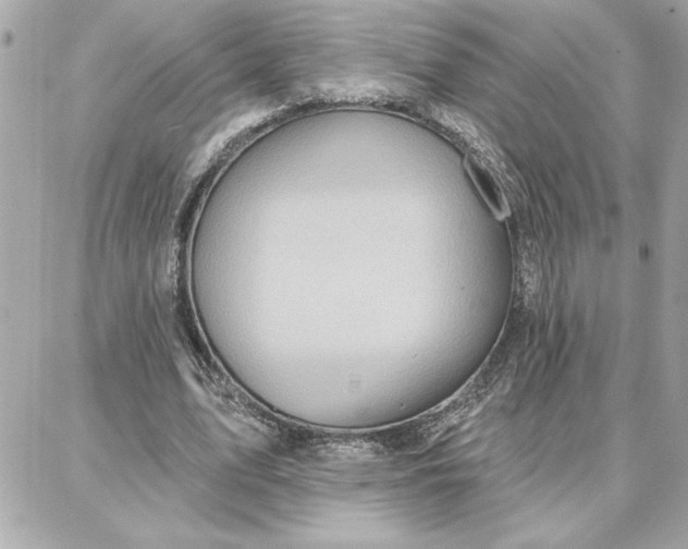 X0000087740583200705211014