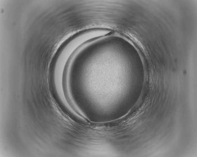 X0000087740584200705211014